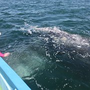 IMG 0001 2 (357)